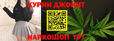 мдпв Камышлов